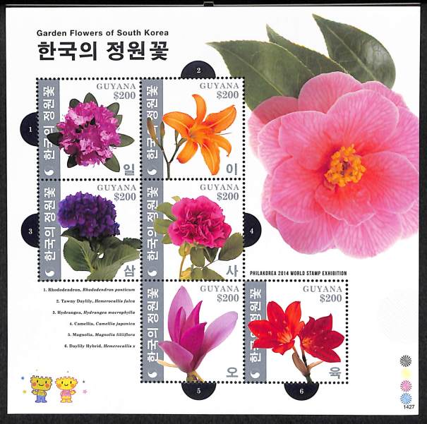 GARDEN FLOWERS OF SOUTH KOREA - 1427